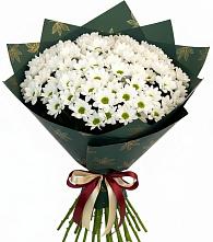 Букет цветов из:  Хризантемы в Перевозе