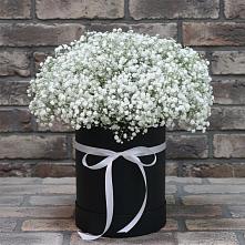 Цветочная композиция из Гипсофила в шляпной коробке в Перевозе