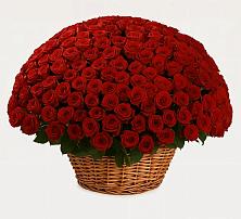 Премиум букет из: Розы в Перевозе